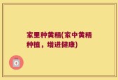 家里种黄精(家中黄精种植，增进健康)