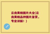 云南黄精图片大全(云南黄精品种图片鉴赏，专业详解！)