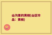 山沟里的黄精(山区珍品：黄精)