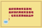 庙前镇黄精育苗基地(庙前镇的黄精育苗基地：培育优质黄精新品种)