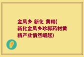 金凤乡 新化 黄精(新化金凤乡珍稀药材黄精产业悄然崛起)