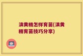 滇黄精怎样育苗(滇黄精育苗技巧分享)