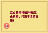 江山黄精种植(种植江山黄精，打造丰收致富路)
