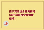 南宁宾阳适合种黄精吗(南宁宾阳适宜种植黄精吗？