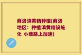 商洛滇黄精种植(商洛地区：种植滇黄精设施化 小康路上加速)