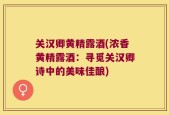 关汉卿黄精露酒(浓香黄精露酒：寻觅关汉卿诗中的美味佳酿)