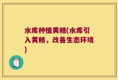 水库种植黄精(水库引入黄精，改善生态环境)