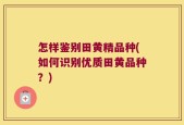 怎样鉴别田黄精品种(如何识别优质田黄品种？)
