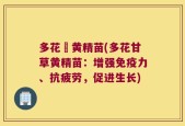 多花甛黄精苗(多花甘草黄精苗：增强免疫力、抗疲劳，促进生长)