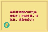 桑葚黄精枸杞功效(桑黄枸杞：补益身体，抗氧化，提高免疫力)