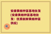 安康黄精种苗基地批发(安康黄精种苗基地批发：优质新鲜黄精种苗供应)