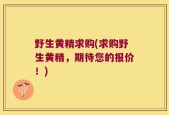 野生黄精求购(求购野生黄精，期待您的报价！)