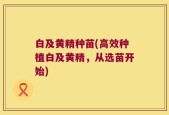白及黄精种苗(高效种植白及黄精，从选苗开始)
