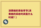 滇黄精的采收季节(滇黄精的采收时间是什么时候？)