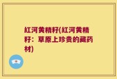 红河黄精籽(红河黄精籽：草原上珍贵的藏药材)