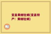宜昌黄精牡蛎(宜昌特产：黄精牡蛎)