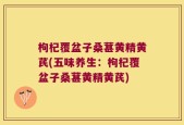 枸杞覆盆子桑葚黄精黄芪(五味养生：枸杞覆盆子桑葚黄精黄芪)