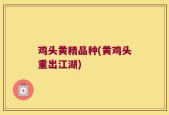 鸡头黄精品种(黄鸡头重出江湖)
