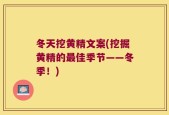 冬天挖黄精文案(挖掘黄精的最佳季节——冬季！)