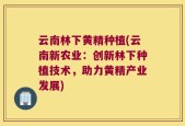 云南林下黄精种植(云南新农业：创新林下种植技术，助力黄精产业发展)