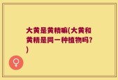 大黄是黄精嘛(大黄和黄精是同一种植物吗？)