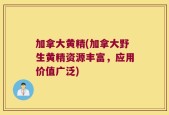 加拿大黄精(加拿大野生黄精资源丰富，应用价值广泛)