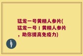 猛龙一号黄精人参片(猛龙一号丨黄精人参片，助你提高免疫力)