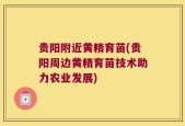 贵阳附近黄精育苗(贵阳周边黄精育苗技术助力农业发展)