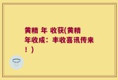 黄精 年 收获(黄精年收成：丰收喜讯传来！)