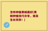 怎样种植黄精最好(黄精种植技巧分享，提高生长效率！)