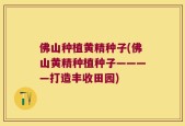 佛山种植黄精种子(佛山黄精种植种子————打造丰收田园)
