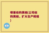 哪里收购黄精(公司收购黄精，扩大生产规模)