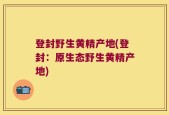 登封野生黄精产地(登封：原生态野生黄精产地)