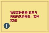 牧草套种黄精(牧草与黄精的优秀搭配：套种实践)