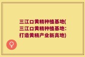 三江口黄精种植基地(三江口黄精种植基地：打造黄精产业新高地)