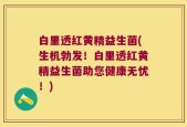 白里透红黄精益生菌(生机勃发！白里透红黄精益生菌助您健康无忧！)