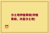 沙土地种植黄精(种植黄精，改善沙土地)