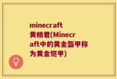 minecraft 黄精君(Minecraft中的黄金盔甲称为黄金铠甲)