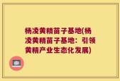 杨凌黄精苗子基地(杨凌黄精苗子基地：引领黄精产业生态化发展)