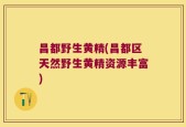 昌都野生黄精(昌都区天然野生黄精资源丰富)