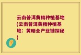 云南普洱黄精种植基地(云南普洱黄精种植基地：黄精全产业链探秘)