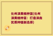 化州滇黄精种苗(化州滇黄精种苗：打造滇南优质种植新选择)