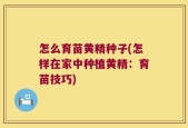 怎么育苗黄精种子(怎样在家中种植黄精：育苗技巧)