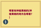 哪里有种植黄精的(种植黄精的地方在哪里？)