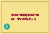 紫珠叶黄精(紫珠叶黄精：中药材新热门)