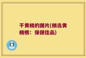 干黄精的图片(精选黄精根：保健佳品)