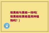 地黄精与黄精一样吗(地黄精和黄精是同种植物吗？)