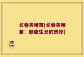 长春黄精苗(长春黄精苗：健康生长的选择)