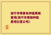 南宁市哪里有种植黄精基地(南宁市黄精种植基地位置公布)