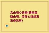 文山坝心黄精(黄精英雄山坝，传奇心魂焕发生命光彩)